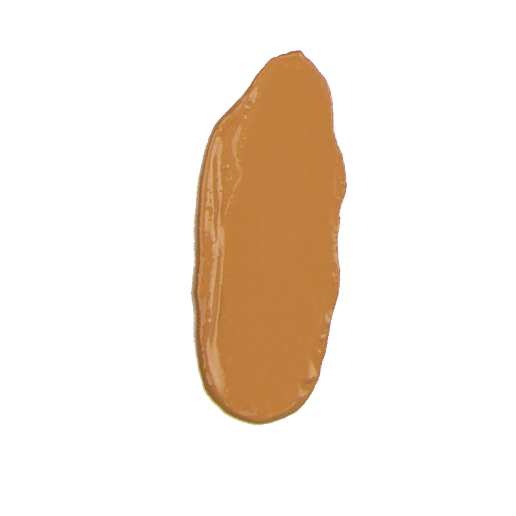 Anne T. Dote Tinted Moisturizer C5