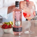 Puerto de Indias Gin Strawberry 