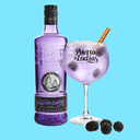 Puerto De Indias Gin Blackberry 